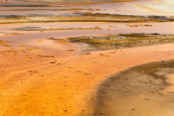 Grand Prismatic Spring 29