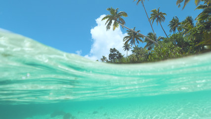 HALF-HALF: Picturesque shot of idyllic sandy beach being washed by emerald water