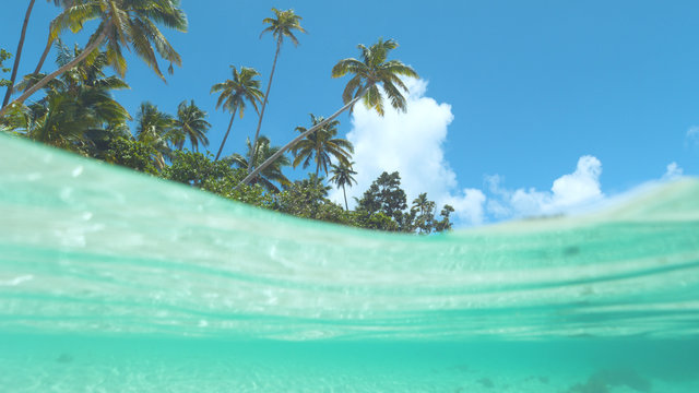 HALF-HALF: Incredibly beautiful tropical beach is swept by emerald ocean waves