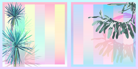 tropical sweet pastel gradient background A