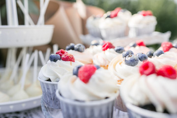 Set of different delicious tasty muffins with berries on summer background. Different dessert tartlets with cream and fresh blueberry and raspberry. Selective focus. candy bar concept