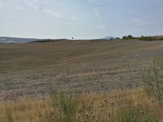 Obraz premium Field cultivated with wheat and hay bales