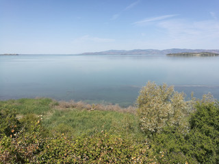 Naklejka premium top view of the lake..