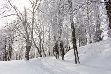 Mysterious winter landscape majestic mountains in winter. Magical winter snow covered tree. Winter road in the mountains.