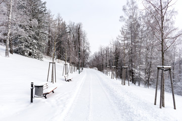 Road in the mountains covered with snow. Winter landscape. The concept of freedom and movement.