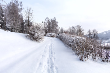 Obraz premium Winter road near frozen trees