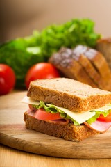 Fresh appetizing sandwich with vegetables