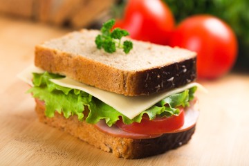 Fototapeta na wymiar Fresh appetizing sandwich with vegetables
