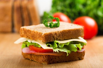 Fresh appetizing sandwich with vegetables