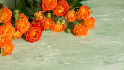 Orange or red and yellow little roses on green background