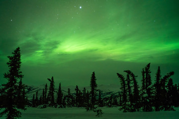 Beautiful winter landscapes at night with green aurora lighting up the sky