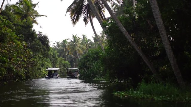 Boat and Palm tree backwater in India Timelapse