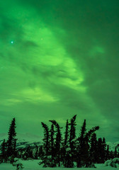 Beautiful winter landscapes at night with green aurora lighting up the sky