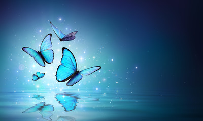 Feenhafte Schmetterlinge auf dem Wasser