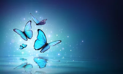 Fototapete Schmetterling Feenhafte Schmetterlinge auf dem Wasser