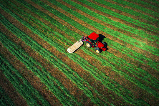 Tractor mowing green field, aerial view. Agriculture.