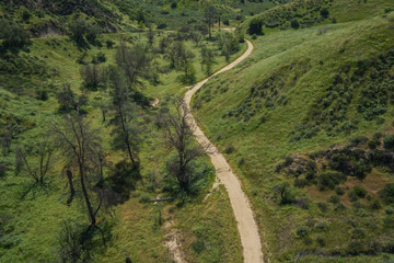 Fototapeta na wymiar Dirt hiking trail leads through California woodland and grass hills.