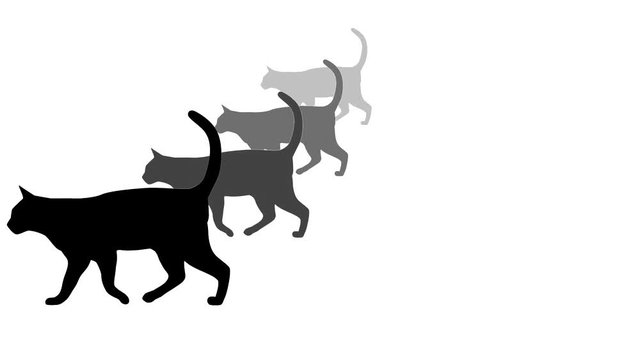 Cat silhouettes, animation on the white background