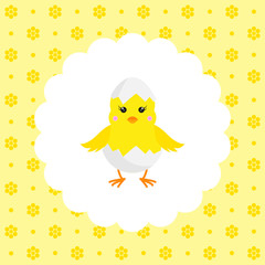 Chick in Eggshell. Vector. Flat.