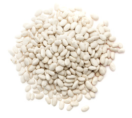 Simple White Beans on a White Background