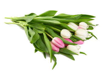 white and pink tulips isolated on white background