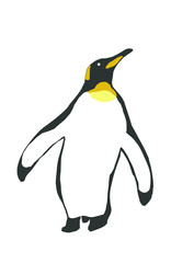 Fototapeta premium Emperor penguin illustration