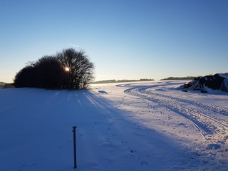 Natur