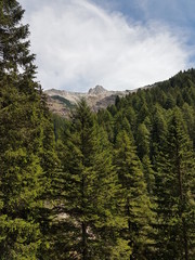 Natur