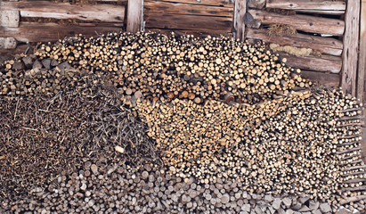 pile of various firewood against old, damaged wooden wall