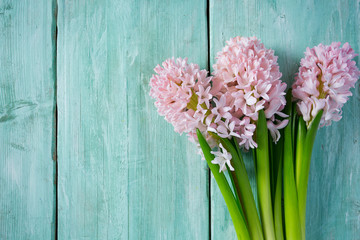 Fresh pink flowers hyacinths on woden surface