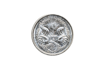 Australian coin of five cents of dollar of Australia, AUD currency, close up of the tail side with echidna animal icon. Isolated on white studio background.