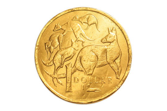 Australian gold chocolate coin of 1 dollar of Australia, AUD currency, close up of the tail side with cangaroos animal icon. Isolated on white studio background.