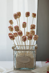 white marshmallow on a stick on a table