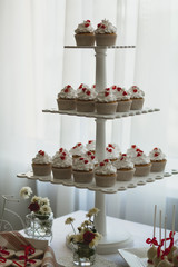  beautiful cupcakes on the wedding table