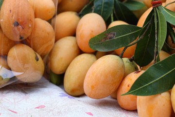 Thai plango fruit or marian plum