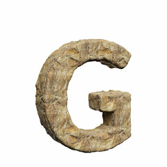 Detailed warm rough rock upper case g on a pure white background. This is a 3d render.