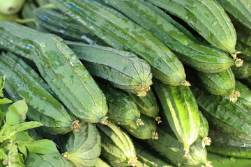fresh luffa in market