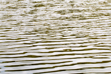 line water,river,technical landscape
