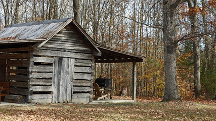 Naklejka premium life in the woods 