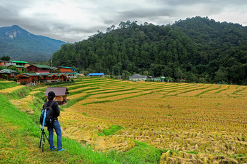 Beautiful morning of nature, Sunriset Male photographers stand looking Locations at the rice paddies. Mae Klang Luang Chiang Mai Thailand.