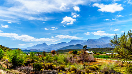 The Little Karoo region of the Western Cape Province of South Africa with the majestic Grootswartberg Mountains on the horizon