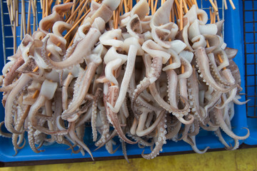 Squid with wood plug, prepared for barbecued
