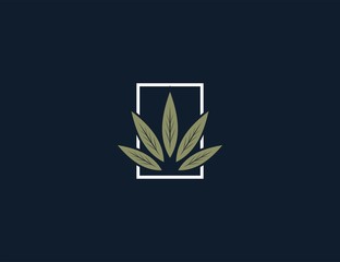luxury cannabis logo design template.