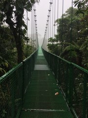 Fototapeta premium Rain forest hanging bridges