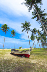 Plakat Palm and tropical beach. Beautiful nature landscape with Coconut Palm trees, traditional boat on white sandy beach