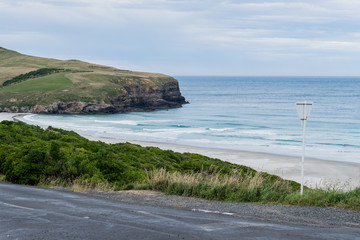 View of surf and beach in Dunedin