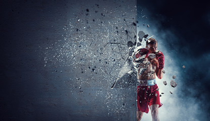 Fototapeta premium Strong enough to challenge it. Mixed media