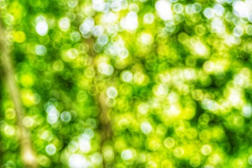 Obraz premium Licenses cannot be purchased online in your region You may search, save preview files and use your available licenses, but you cannot purchase additional licenses, an Adobe Stock subscription or on-de