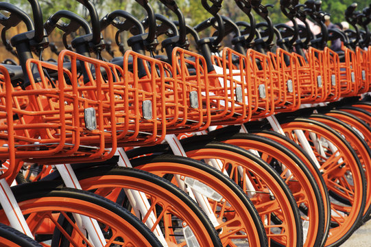 Row of orange bicycles