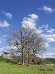 Landschafr am Großen Ostersee